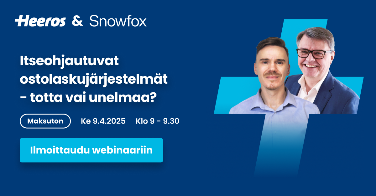 Google ad landscape Niko & Snowfox_webinaari_Apr2025 v1.png