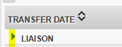 liaisonreport.PNG