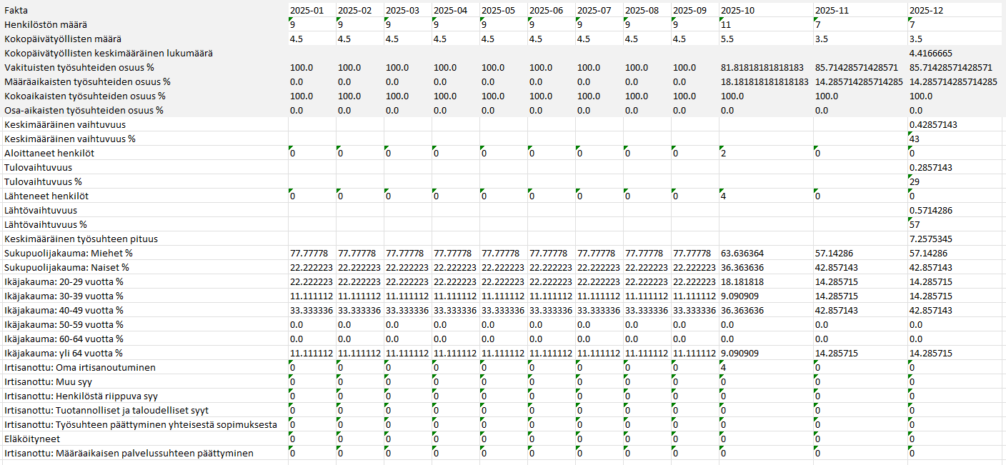 Henkilöstö raportti taulukko.png
